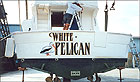 Click on an image for larger picture