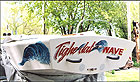 Click on an image for larger picture
